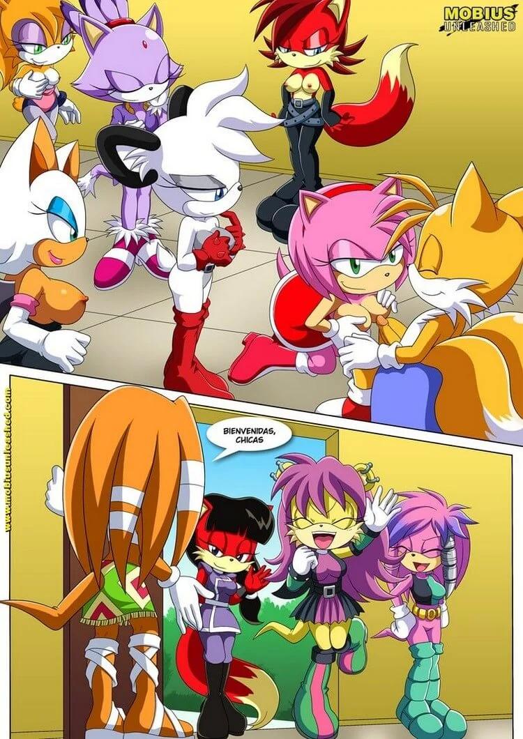 Comic Porno Tetiz Cumpleanos - Sonic Hentai (#5)