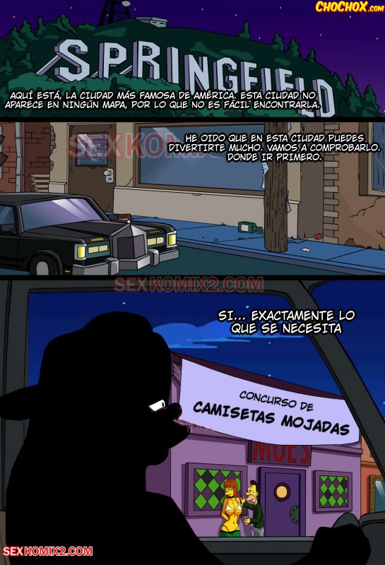 Comic Porno Adventures Of Anastasia - Meet Me Springfield - SexKomix (#2)