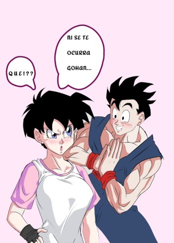 [Mircasso] Videl X Gohan (Dragon Ball)
