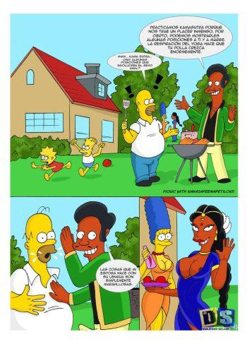 [Drawnsex] Picnic With Nahasapeemapetilons (The Simpsons)