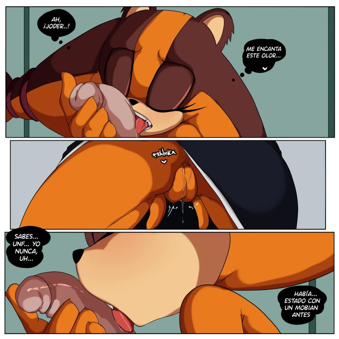 Comic Porno [Inuyuru] Stick’s Party (Sonic The Hedgehog) (#5)