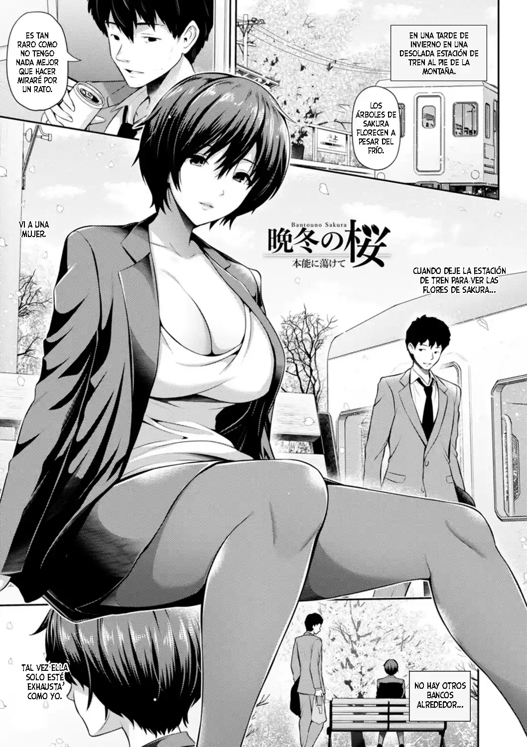 Una Flor De Cerezo En Una Noche De Invierno - Toba Yuga